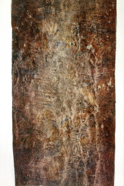 ff-h007-94-racines-vulcaines